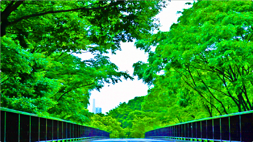HDR example 4