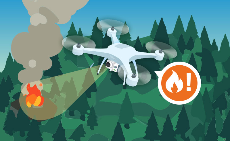 類型1：ドローン、画像解析技術等を活用した監視の実証